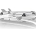 Thule Hang Two Surf Carrier