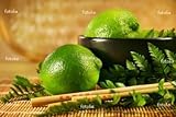 IMAGE OF 'Limes With Chopsticks' Wall Decal - 72