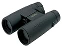 Pentax 62551 DCF WP II 8x42 Binocular (Black)