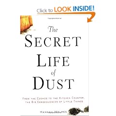 The Secret Life of Dust: From the Cosmos to the Kitchen Counter, the Big Consequences of Little Things