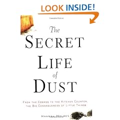 The Secret Life of Dust: From the Cosmos to the Kitchen Counter, the Big Consequences of Little Things