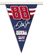 Dale Earnhardt Jr. 25 ft party pennant flags - NASCAR