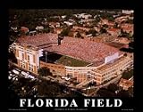 Small Griffin Stadium Florida Gators Aerial Unframed Print