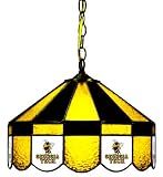 16 Swag Hanging Lamp Light Georgia Tech Yellow Jackets - Free Shipping