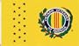 RFC Vietnam Veterans of America Flag 3'x 5'