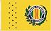 Vietnam Veteran Yellow MILITARY Flag - 3 foot by 5 foot Polyester (NEW)