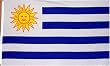 Uruguay National Country Flag - 3 foot by 5 foot Polyester (New)