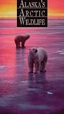 Alaskas Arctic Wildlife [VHS]