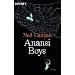 Anansi Boys: Roman