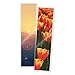TruLam Laminating Pouches - Bookmark Large Size - 2-3/8-Inch by 9-Inch - 5 Mil Thickness - 200 Per Box - Compatible with Most Pouch Laminating Machines