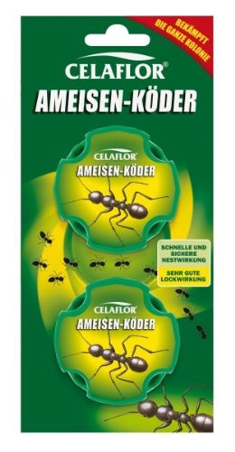 Produkt-Bild: Celaflor Ameisen-K&ouml;der, 2er