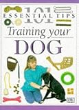 Training your dog