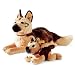 18 German Shepherd Dog - American Kennel Club D