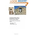 CryptoQuest Field Guide to the Mysterious Tunnels and Caves of South America: Cryptoarchaeological Field Series by David W. Whitehead