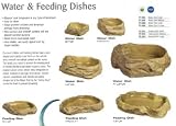 Feeding Dish - X-large - 11 in. x 8 in. x 1 in.