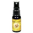Liquid Essence, Ginger, 1-Ounce Bottles (Pack of 3)