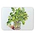 Watercress, c.1985 (gouache) by Joan.. - Mouse Mat Art247 Highest Quality Natural Rubber Mouse Mats - Mouse Mat
