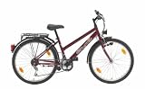 Texo Fahrrad 24 (507 mm) ATB M&auml;dchenchen Trapez 18-Gang Kettenschaltung, burgund, 36 cm