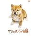 �}���Ǝq���̕���X�y�V�����E�G�f�B�V����(2���g) [DVD]