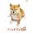 �}���Ǝq���̕���X�y�V�����E�G�f�B�V����(2���g) [DVD]