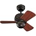 Monte Carlo 3TF24RB Micro 24-Inch 3-Blade Ceiling Fan with Teak Blades, Roman Bronze