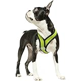 Gooby Choke Free X Frame Soft Harness with Micro Suede Trimming for Small Dogs, Medium, Green