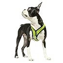 Gooby Choke Free X Frame Soft Harness with Micro Suede Trimming for Small Dogs, Large, Green