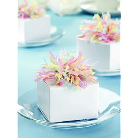 Wilton Favor Boxes with Tissue Puff