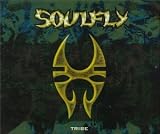 Tribe