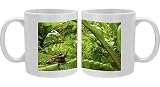 Photo Mug of Big-eyed Tree Frog - female sitting on a wild banana leaf in the forest from Ardea