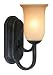 World Imports Lighting 6661-42 Arezzo 1-Light Wall Sconce, Rust Finish with Brushed Silver Accents
