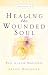 Healing the Wounded Soul: v.1: Vol 1