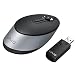 Sony VAIO Wireless Presentation Mouse VGP-WMS50 Mouse - optical - wireless - Bluetooth - USB wireless receiver Image