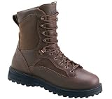 Review   / Danner Raptor 8