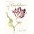 Hans Christian Andersen's Thumbelina