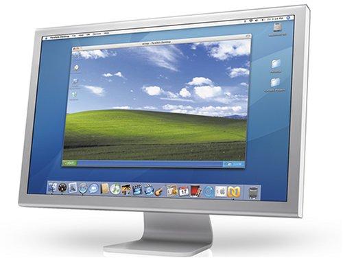 large image