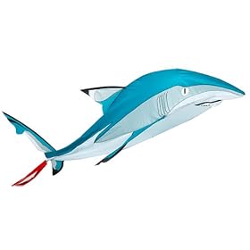 3D Tiger Shark
