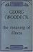 The Meaning of Illness: Selected Psychoanalytic Writings Including Correspondence with Sigmund Freud (Maresfield Library)