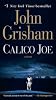 Calico Joe: a Novel 