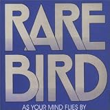 As Your Mind Flies By
