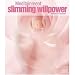 Slimming Willpower: Believe in Yourself (Guided Meditations)