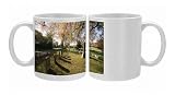 Photo Mugs of Cemetery, East Hampton, The Hamptons, Long Island, New York State, United from Robert Harding