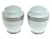 Mikasa Platinum Crown Salt and Pepper Set