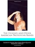 The Stooges and Other American Protopunk Bands