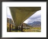 The 800-Mile Trans-Alaska Pipeline Associated Press Collection Framed Art Poster Print, 22x18