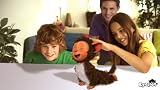 picture of EyePet - Includes PlayStation Eye (PS3)
