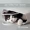 Cat Books