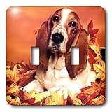 Dogs Basset Hound - Basset Hound - Light Switch Covers - double toggle switch