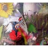 Flowers: Joan of Arc