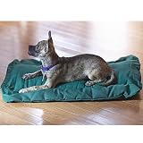 Thermo-Bed, Blue, Small 19 By 24 Inches